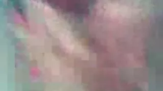 বড় ব্রেস্টেড শ্যামা ...