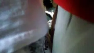 আবর্জনা শ্যামাঙ্গিনী ...