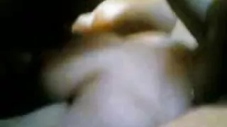 ফ্লার্টেট স্বর্ণকেশী ...