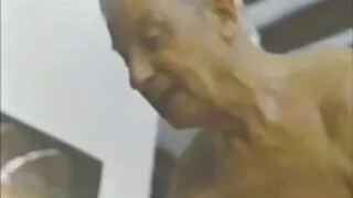 শৃঙ্গাকার সাদা আবর্জ ...