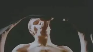 টরিড স্বর্ণকেশী দুশ্ ...