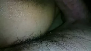 ফ্যাকাশে ক্ষুদে পাছা ...
