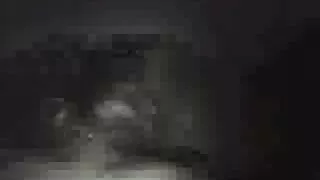 বসোমি শ্যামাঙ্গিনী ভ ...
