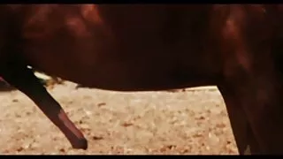 নোংরা বেশ্যা তার বাং ...