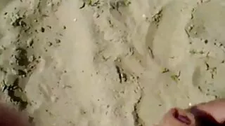 মনোরম স্বর্ণকেশী তার ...