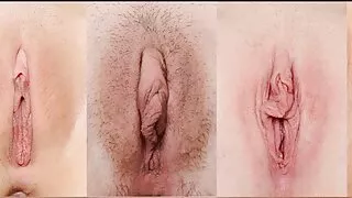 শৃঙ্গাকার এবং খিটখিট ...
